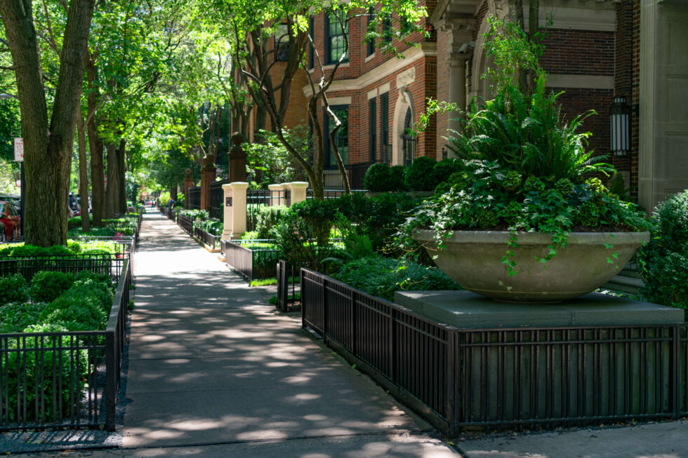 You Ultimate Neighborhood Guide to the Chicago Gold Coast